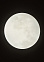 Светильник светодиодный акриловый 350мм 48W 8001 Moon 24W*2 S=12м2  VERNER LIGHTING *1/10