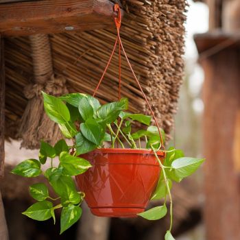 Кашпо пластм. подвесное "ЛИЛИЯ" 4,0л d верха 230мм h140мм Терракот ПВЛ 4 ТЕР ("Santino") *1/40