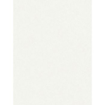 Обои винил Аспект Ясмин фон (бел.) 10140-15  0,53*10м *20
