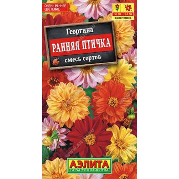 Семена Георгина Ранняя птичка смесь 0,3гр Аэлита цв *10/200