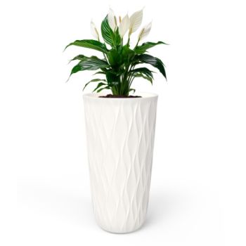 Кашпо пластм. "Desert" высокое 21л d верха 266мм h513мм со вставкой Молочный 86807 *1/2