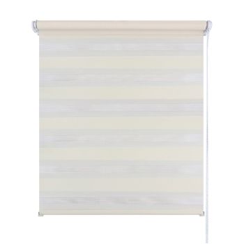 Штора Рулонная День и ночь Молочный 47*160 Легранд *1