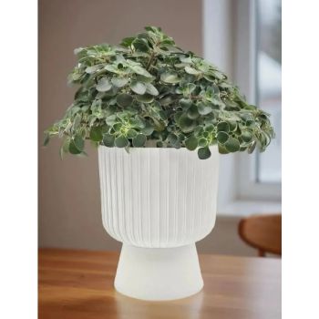 Кашпо пластм. "Бекер" 2,8л d верха 175мм h 195мм с поддоном Белый 5 0733 PL *1/8