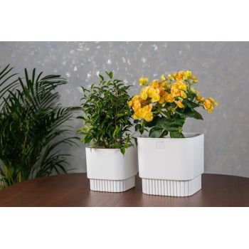 Кашпо пластм. "Бостон" 5,5л 192х192мм h185мм со вставкой Белый АМБ-5,5-01 ("VipSet") *1/6