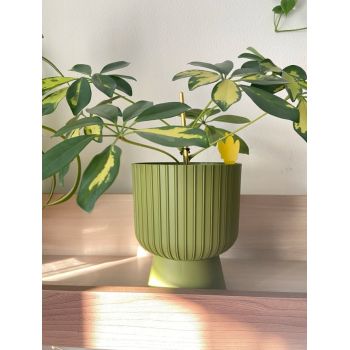 Кашпо пластм. "Бекер" 4,6л d верха 205мм h 240мм с поддоном Папоротник 5 0800 PL *1/4