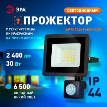 Прожектор светодиодный 30Вт 6,5К IP44 холодный черный ИК датчик движения 2400Лм ЭРА  *1/50