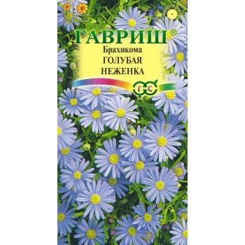 Семена Брахикома Голубая неженка  0,05гр Гавриш *10/200
