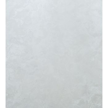 Обои флиз. Артекс FREEDOM Шаде-уни (св.-сер.) 11323-03 (декор КХ242, КХ247) 10х1.06м  *1/6
