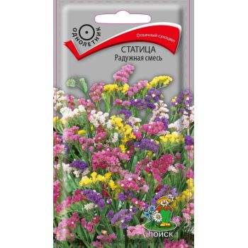 Семена Статица Радужная смесь  0,1гр ПОИСК *10/200
