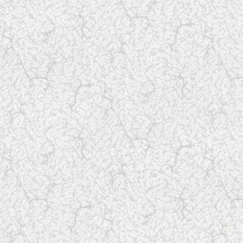 Обои флиз "HomeColor" Good HC31173-14 1,06*10м *1/6