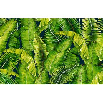 Коврик для ванной ПВХ шир. 65см х15м "V-line" Фотопечать FV33 "Папоротник" *15