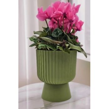 Кашпо пластм. "Бекер" 2,8л d верха 175мм h 195мм с поддоном Папоротник 5 0736 PL *1/8