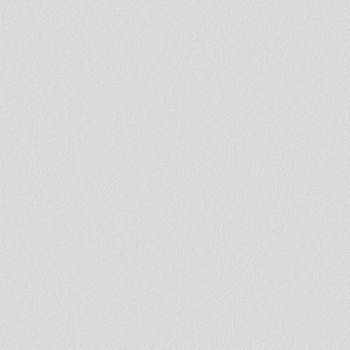 Обои флиз белый Ateliero Береста 25м 2503АВ (антивандальные) *1/4