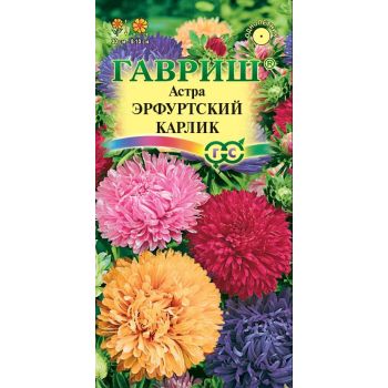 Семена Астра Эрфуртский карлик смесь 0,3гр Гавриш *10/200