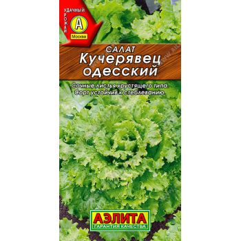 Семена Салат Кучерявец Одесский полукочанный 0,5гр Аэлита Лидер автор *10/200