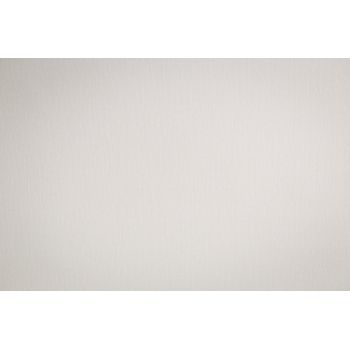 Обои флиз "AS Палитра" UniColor фон (беж.) PL72587-21 1,06*10м *1/6