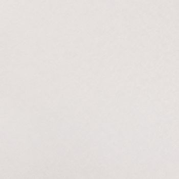 Обои флиз белые Elysium Фактура 1,06*10м Е55810 *1/6