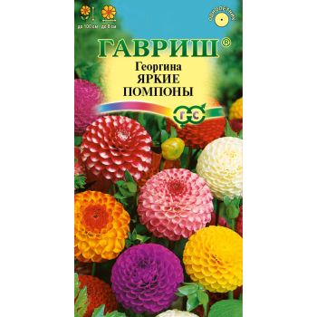 Семена Георгина Яркие помпоны  0,2гр Гавриш *10/200