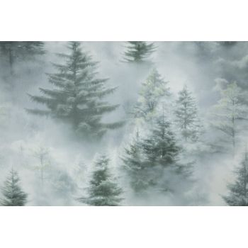 Обои флиз "Home Color" Ultrachrome 3 (зел./сер.) HC72551-71 1,06*10м*1/8