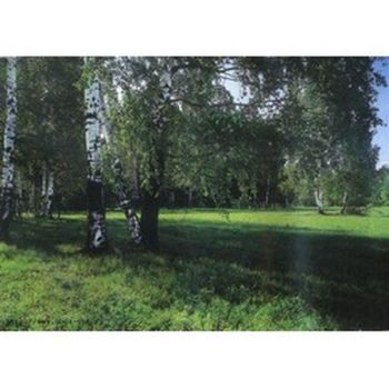 Фотообои глянц. "МАЙСКАЯ РОЩА" 300*201 (г.Тула)  *1/10