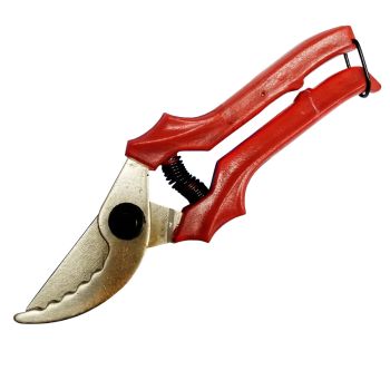 Секатор L-220мм, никелированное покрытие, зубчатый, картонный подвес d-10мм. (С-41- 5Н)  *1/30