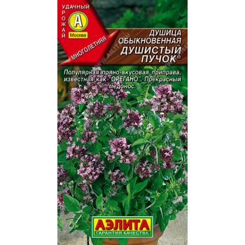 Семена Душица Душистый пучок обыкновенная  0,05 гр Аэлита цв *10/500
