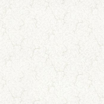 Обои флиз "HomeColor" Good HC31173-12 1,06*10м *1/6