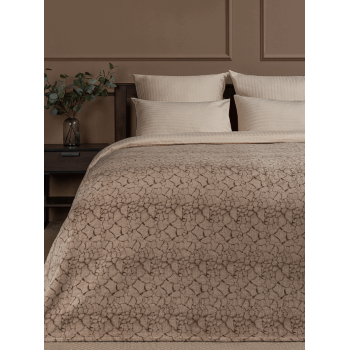 Плед 150*200см фланель земля бежевый TF FN F15 b1520 Absolute *1