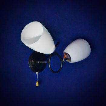 Бра N1684/2W BK+CH E27 2*40Вт (300*200*470)  VERNER LIGHTING *1