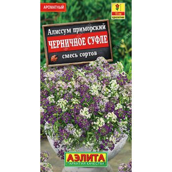 Семена Алиссум Черничное суфле смесь  0,1гр Аэлита цв *10/200