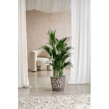 Кашпо пластм. "Winds" 20л d верха 340мм h310мм со вставкой 18,7л Французский платан IG652110105 *1/9