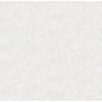 Обои  флиз Victoria Stenova Fresco фон (бел.) 285621  1.06*10м *6