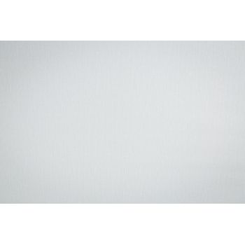 Обои флиз "AS Палитра" UniColor фон (сер.) PL72587-14 1,06*10м *1/6