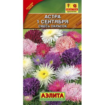 Семена Астра 1-ое сентября смесь  0,2гр Аэлита цв *10/200
