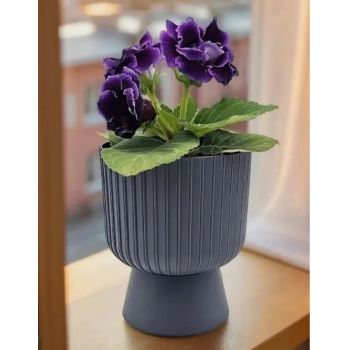 Кашпо пластм. "Бекер" 2,8л d верха 175мм h 195мм с поддоном Антрацит 5 0735 PL *1/8