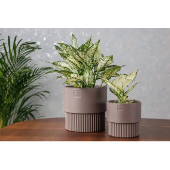 Кашпо пластм. "Бостон" 4,5л d верха 193мм h185мм со вставкой Шоколад АМБ-4,5-04 ("VipSet") *1/6