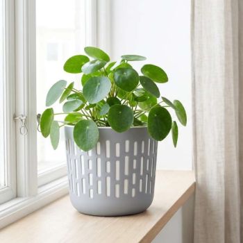 Кашпо пластм. "Берген" 2,9л d верха 175мм h151мм Серый шторм PT402310025 "Plast Team" *1/16