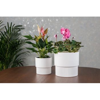 Кашпо пластм. "Бостон" 4,5л d верха 193мм h185мм со вставкой Белый АМБ-4,5-01 ("VipSet") *1/6