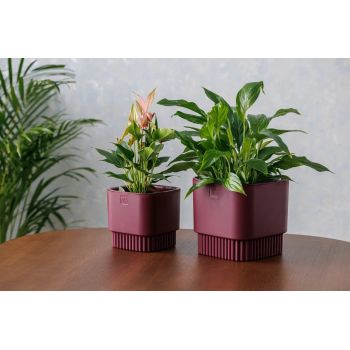 Кашпо пластм. "Бостон" 5,5л 192х192мм h185мм со вставкой Бордо АМБ-5,5-19 ("VipSet") *1/6