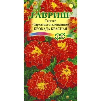 Семена Бархатцы Брокада красная  0,3гр Гавриш *10/200