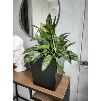 Кашпо пластм. "Manhattan Cube" 22л/вставка19л 301х301мм h315мм Оникс IG671210028 *1/4