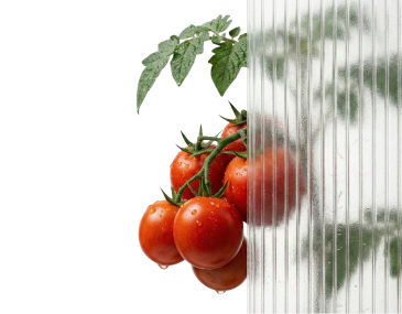 Хиты нового сезона