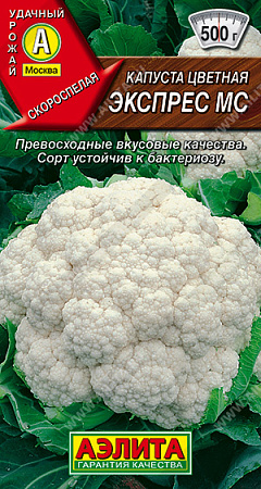 Семена Капуста цветная Экспресс МС 0,3гр Аэлита цв *10/500