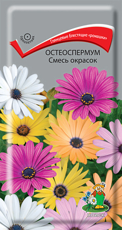 Семена Остеоспермум Смесь окрасок 0,1гр ПОИСК *10/200