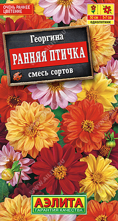 Семена Георгина Ранняя птичка смесь 0,3гр Аэлита цв *10/200