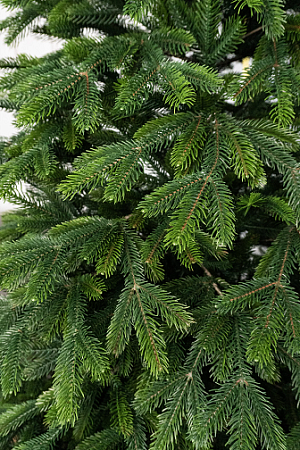 Елка  искусственная пластиковая "Кунгурская" 2,1м литая *1