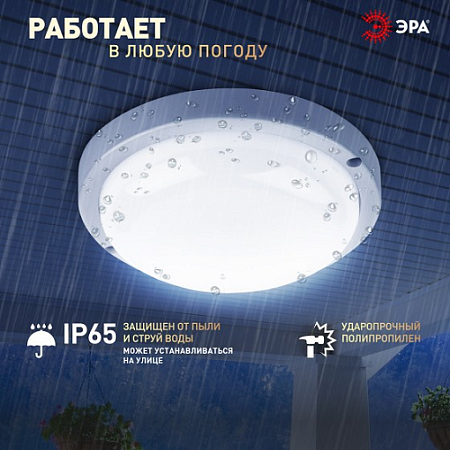 Светильник накладной светодиодный 15Вт 6,5К 1425Лм IP65 круг белый ЖКХ ЭРА Б0047624 *1/40