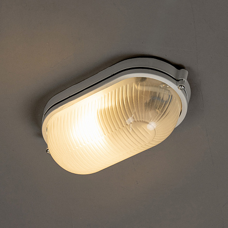 Светильник накладной 60Вт овал белый НПБ1401 TDM SQ0303-0034 *1/20