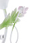 Бра N1743/1W E27 1*40Вт (270*160*160)  VERNER LIGHTING *1 *