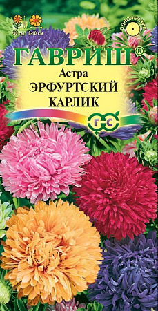 Семена Астра Эрфуртский карлик смесь 0,3гр Гавриш *10/200